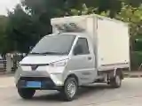 2021 WuLing Electric Truck BEV 41.6KWH
