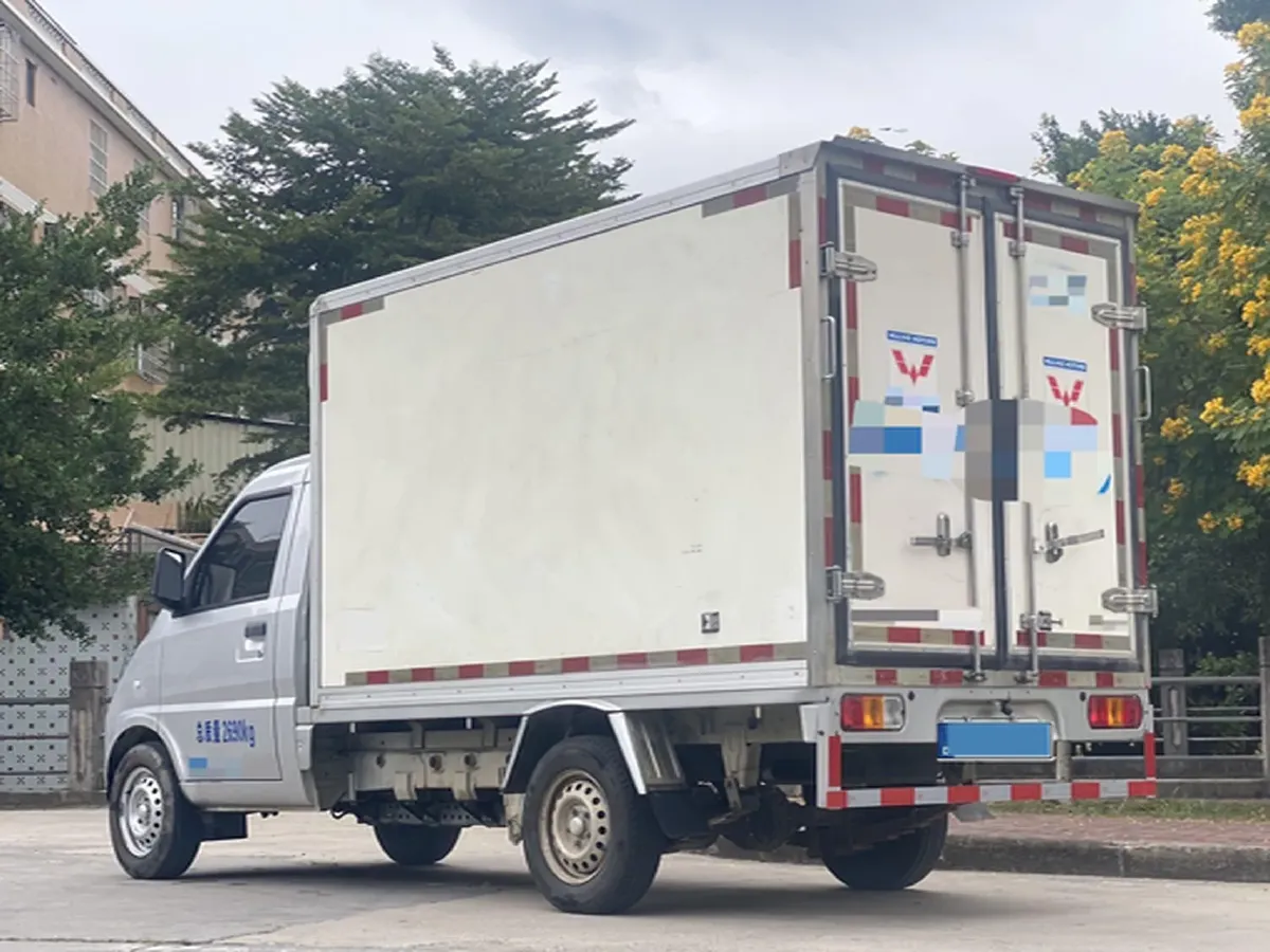 2021 WuLing Electric Truck BEV 41.6KWH,autocango,china used car exporter,china ev exporter,chinese used car exporter,chinese used ev exporter