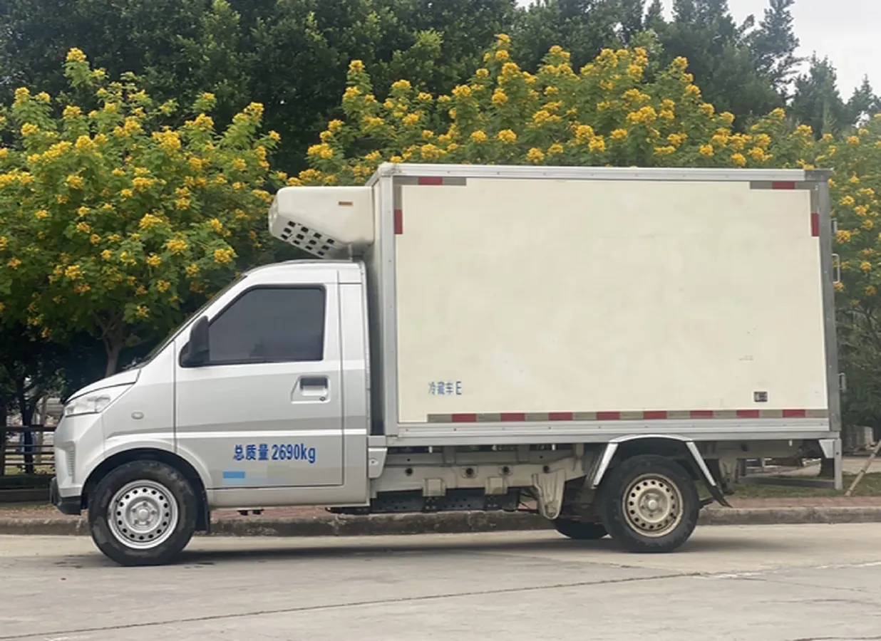 2021 WuLing Electric Truck BEV 41.6KWH,autocango,china used car exporter,china ev exporter,chinese used car exporter,chinese used ev exporter