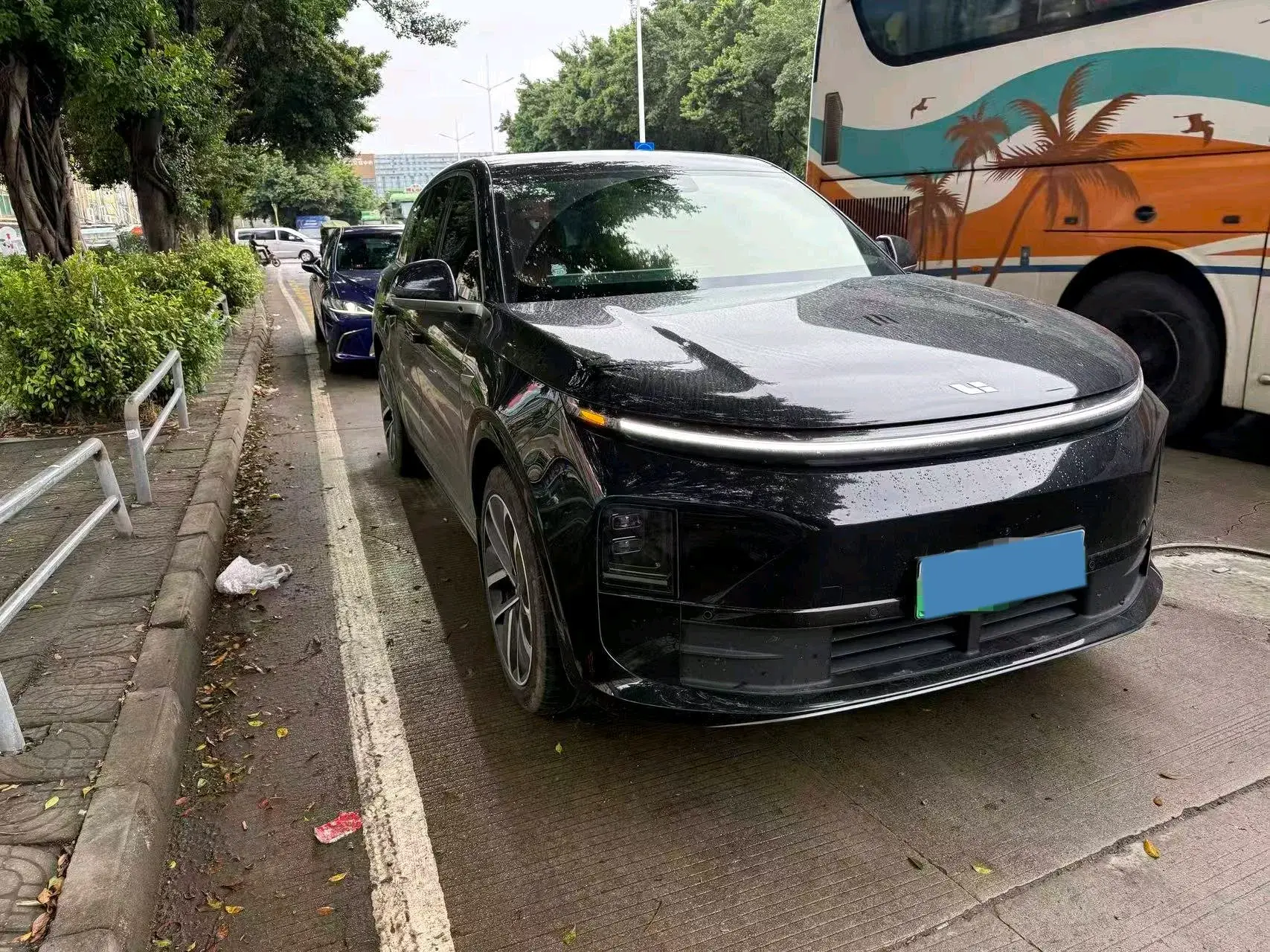 2024 LI L6 thumbnail 2