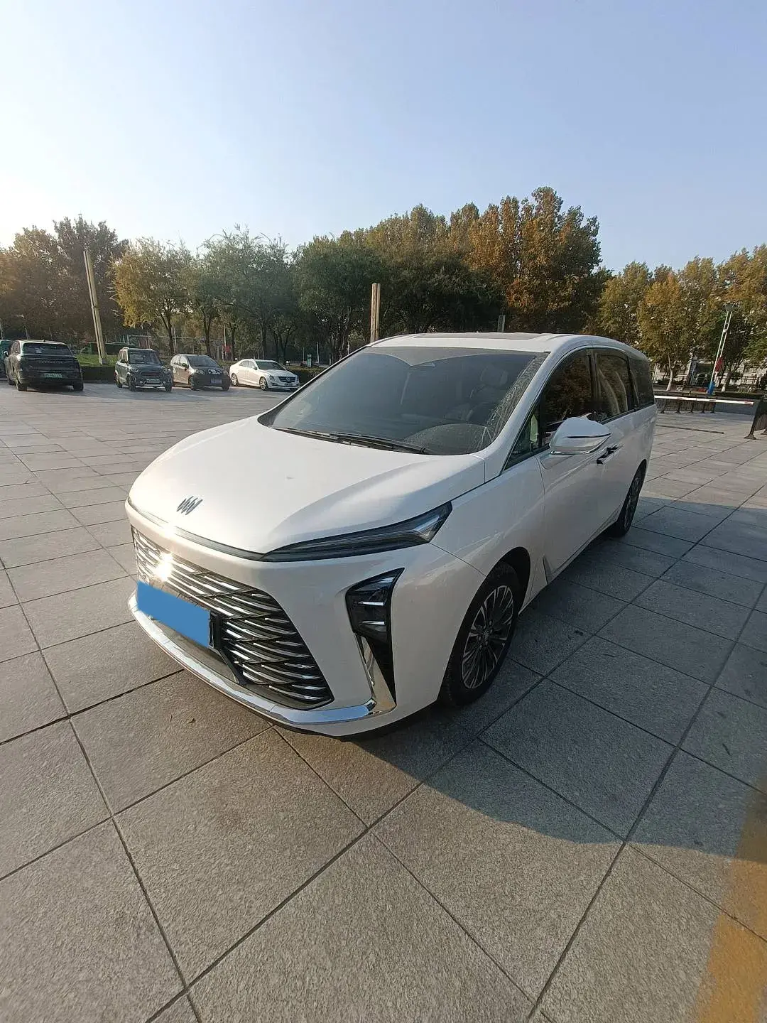 2025 BUICK GL8 view 1