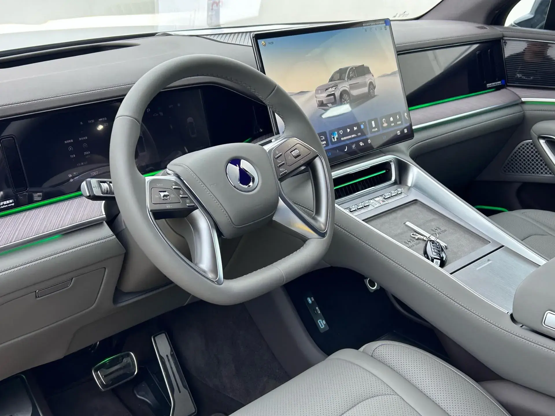 2025 DENZA DENZAN9 thumbnail 4