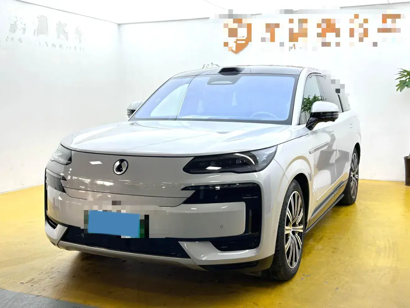 2025 DENZA DENZAN9 view 1