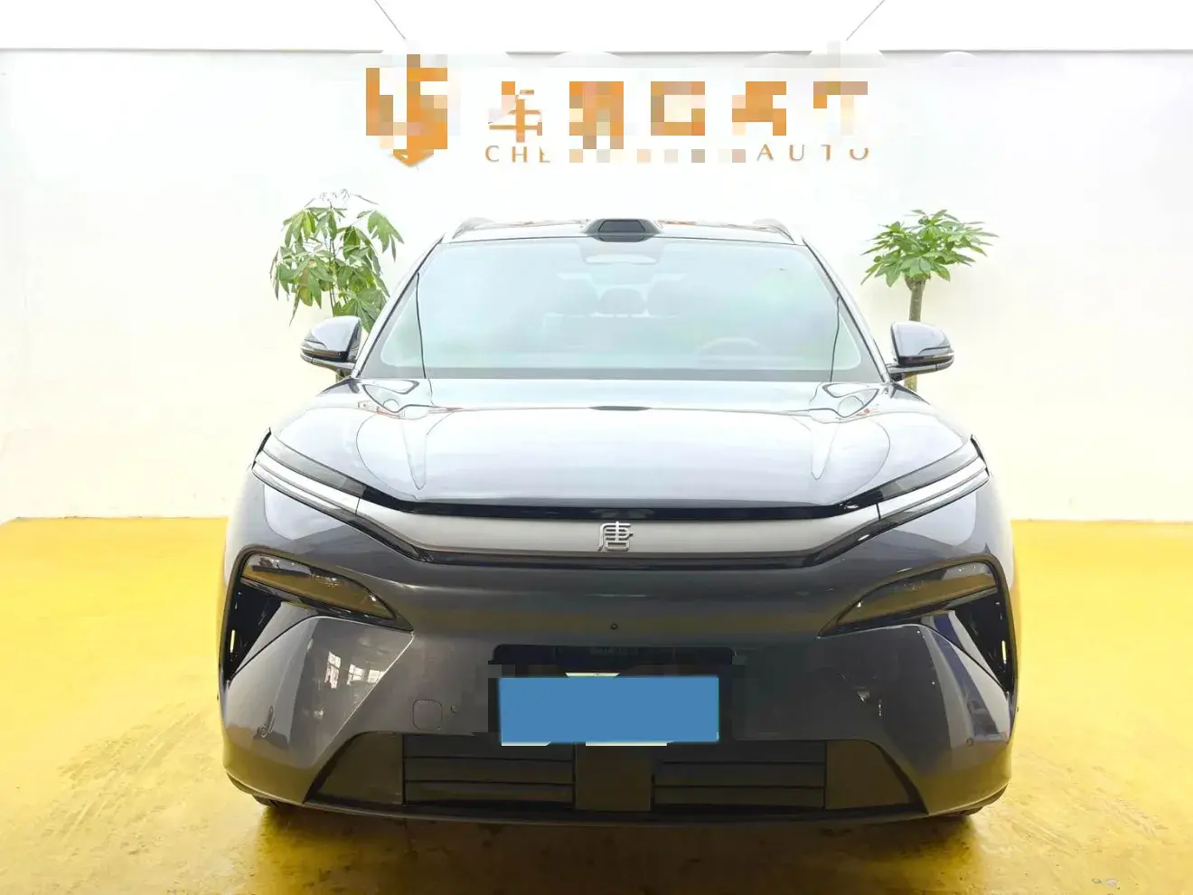 2025 BYD TANGL thumbnail 2