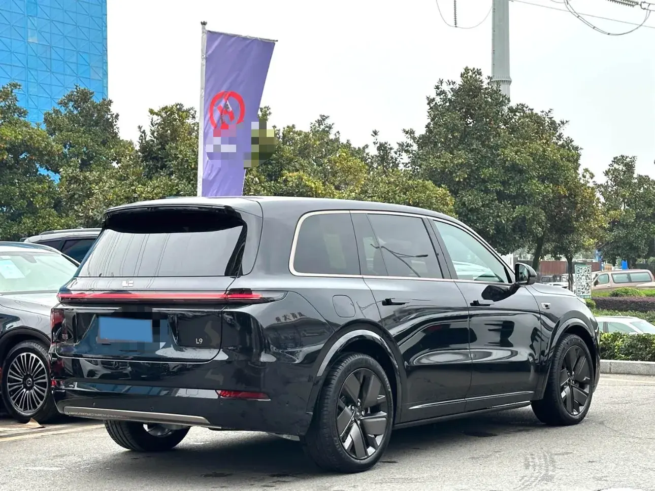 2025 LI L9 thumbnail 4