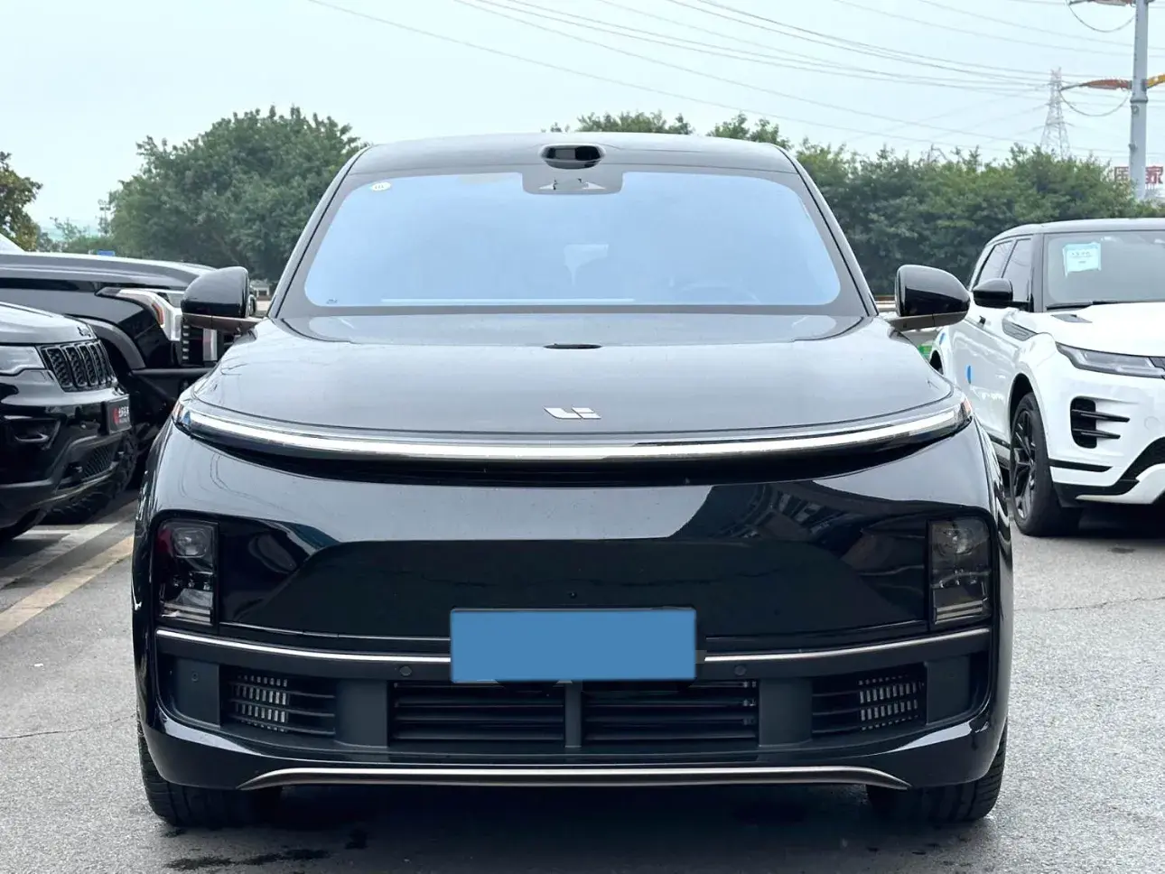 2025 LI L9 thumbnail 2