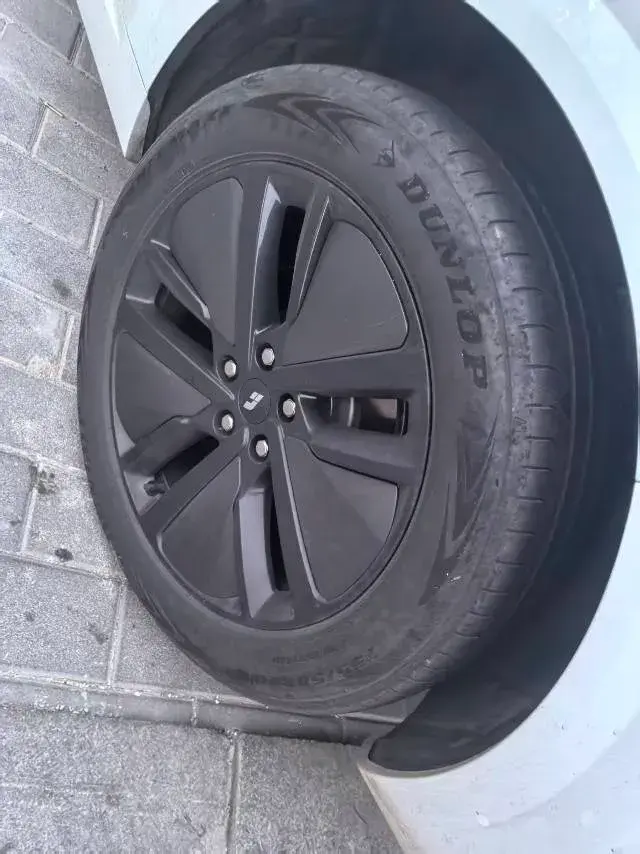 2024 LI L6 thumbnail 3