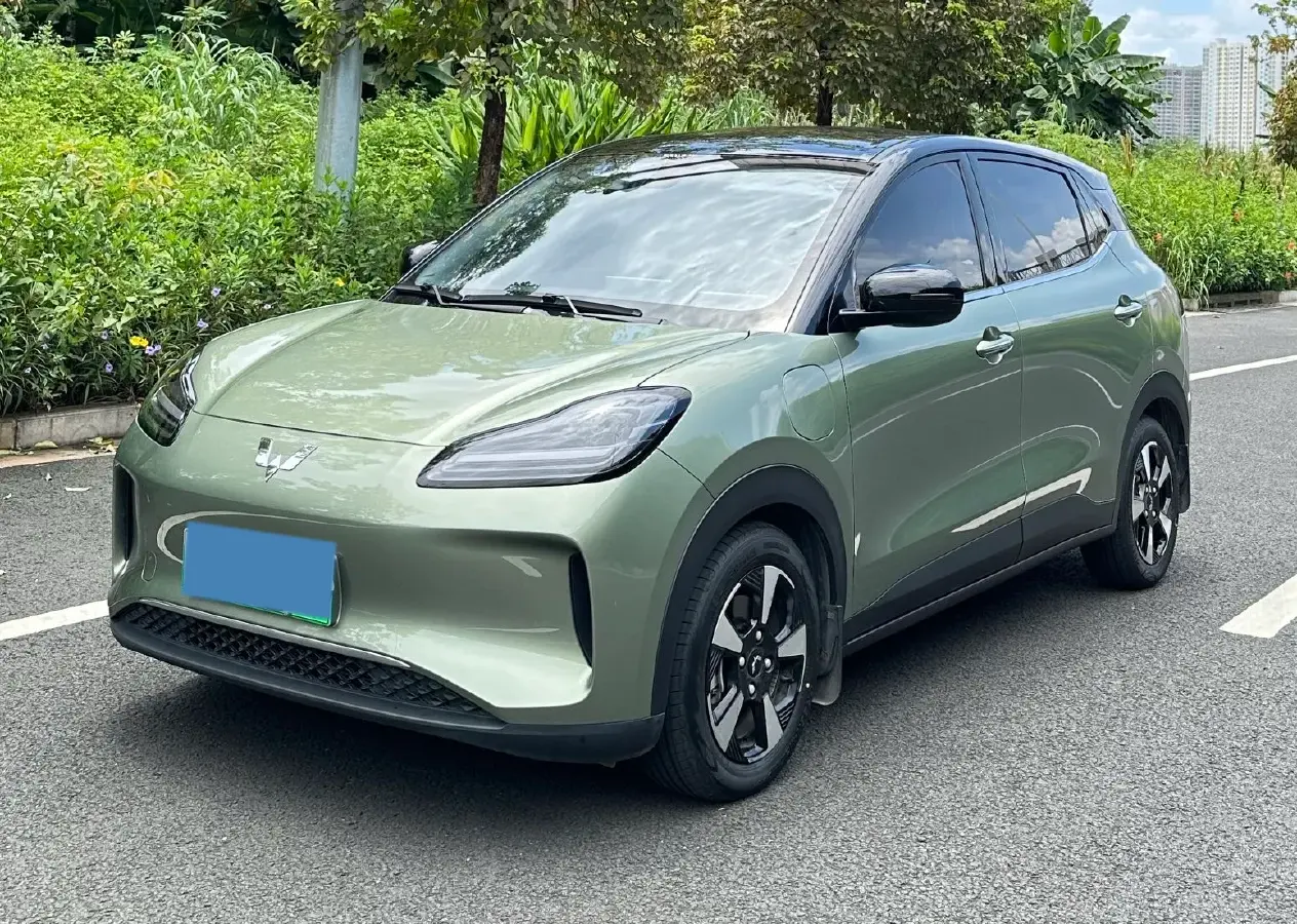 2024 WuLing BinGuoPLUS BEV 50.6KWH