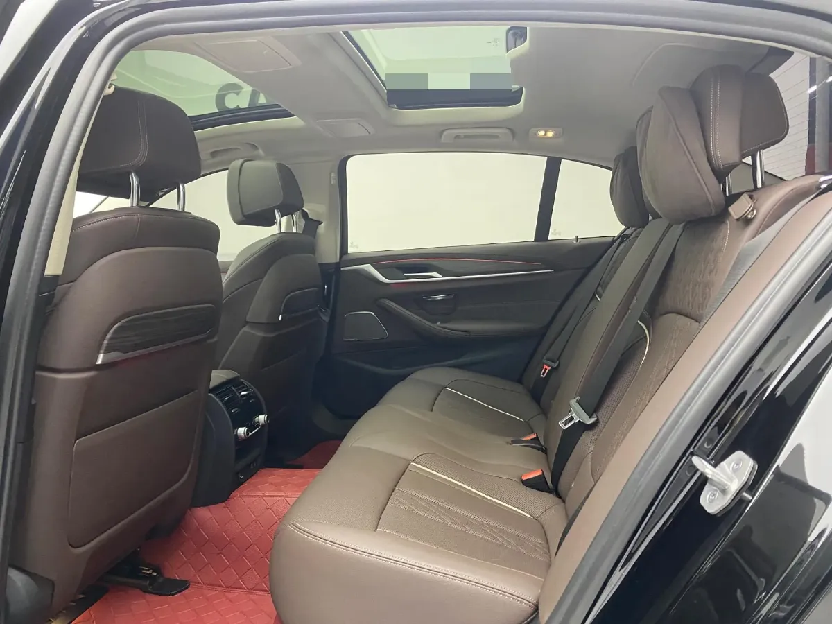 2021 BMW 5 Series 2.0T 252HP L4 8AT,autocango,china used car exporter,china ev exporter,chinese used car exporter,chinese used ev exporter