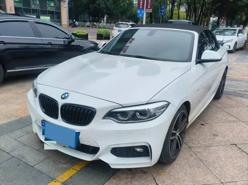 2019 BMW 2 view 1