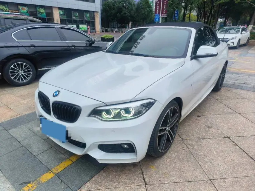 2019 BMW 2 thumbnail 2