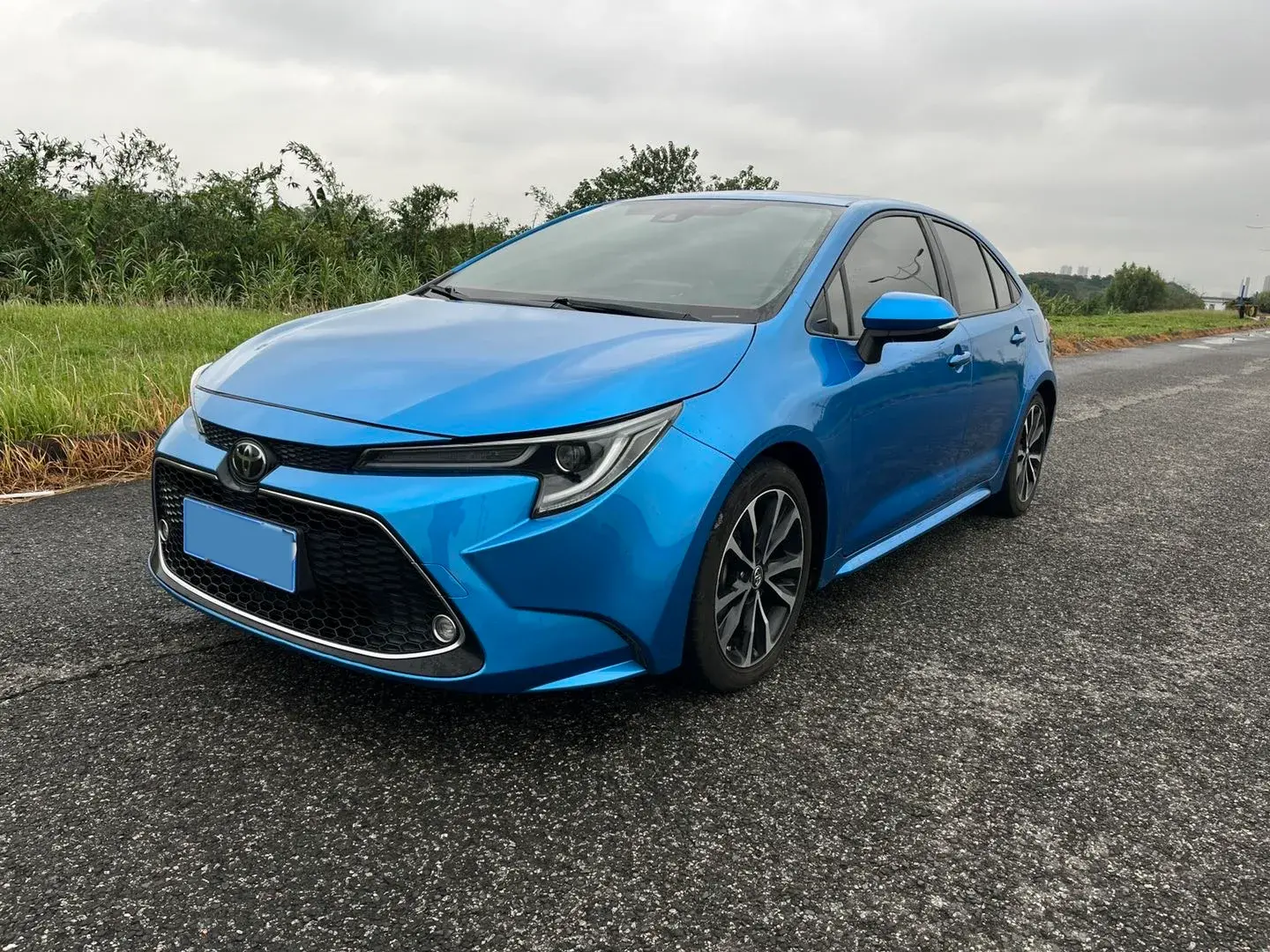 2019 TOYOTA LEVIN view 1