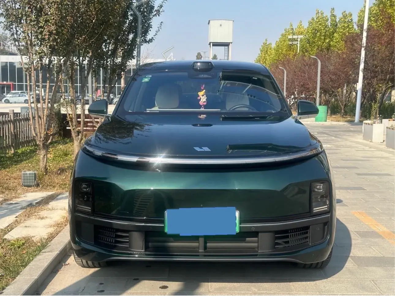 2022 LI L9 thumbnail 2