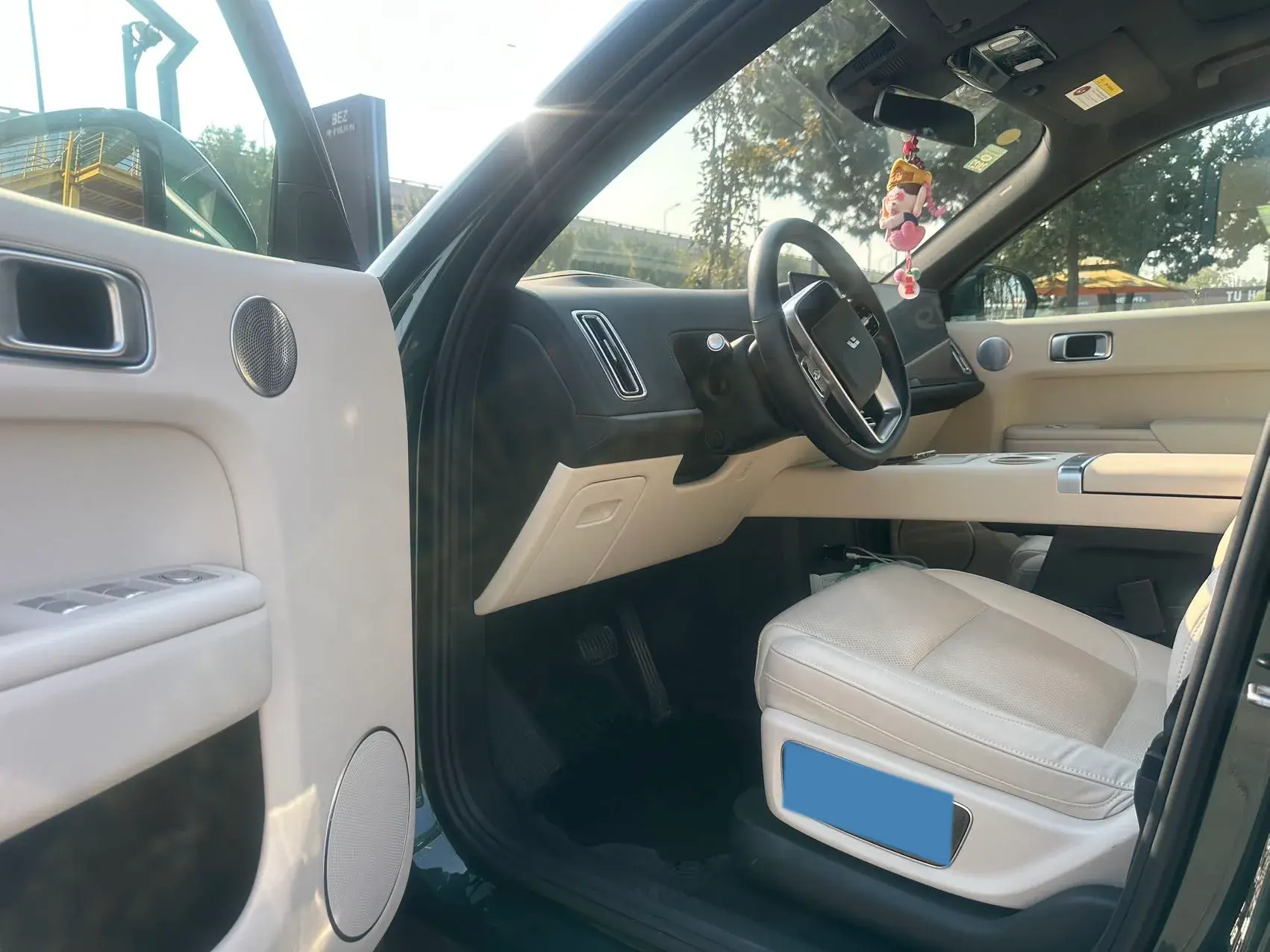 2022 LI L9 thumbnail 4