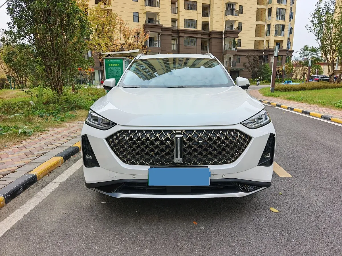 2021 WEY Macchiato 1.5L 97HP L4 2DHT PHEV 19.94KWH,autocango,china used car exporter,china ev exporter,chinese used car exporter,chinese used ev exporter