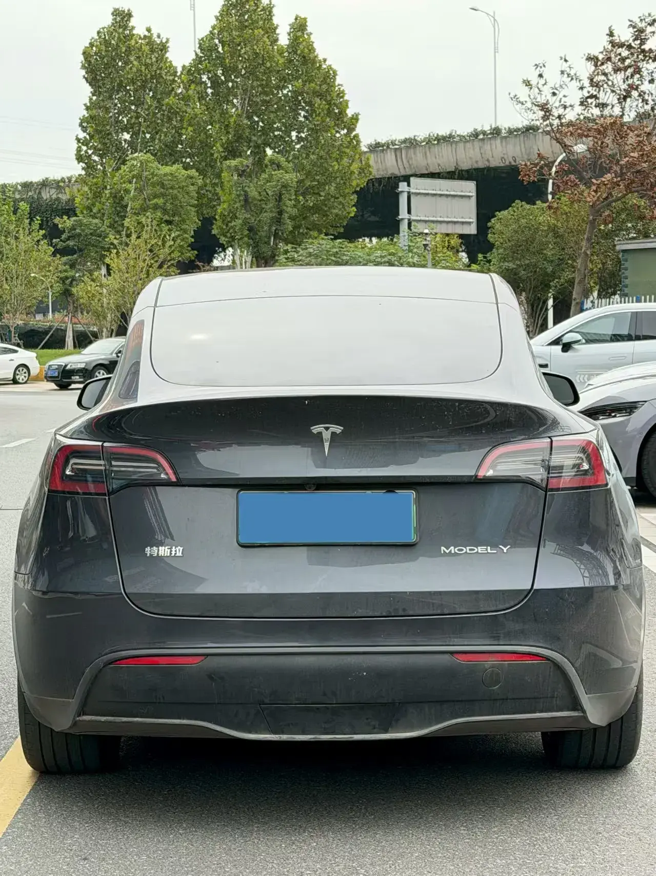 2024 TESLA MODEL thumbnail 3