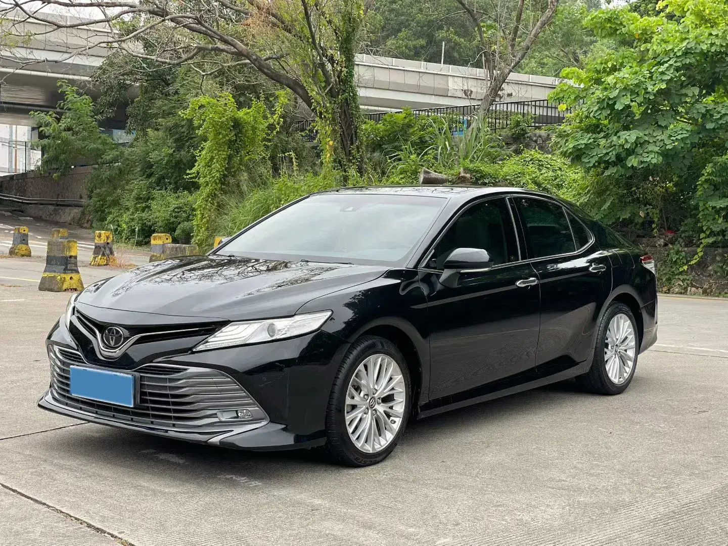 2019 TOYOTA CAMRY view 1
