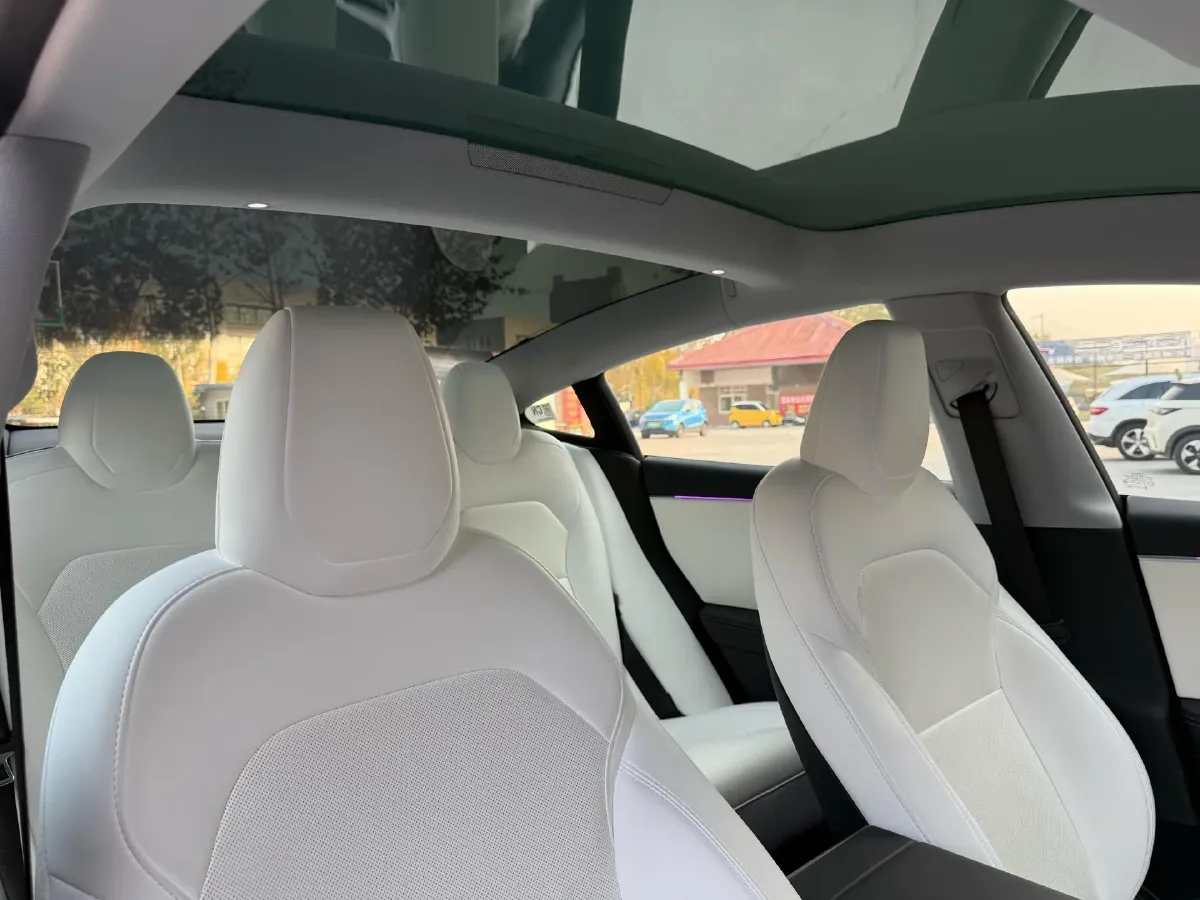 2023 Tesla Model 3 BEV 60KWH,autocango,china used car exporter,china ev exporter,chinese used car exporter,chinese used ev exporter