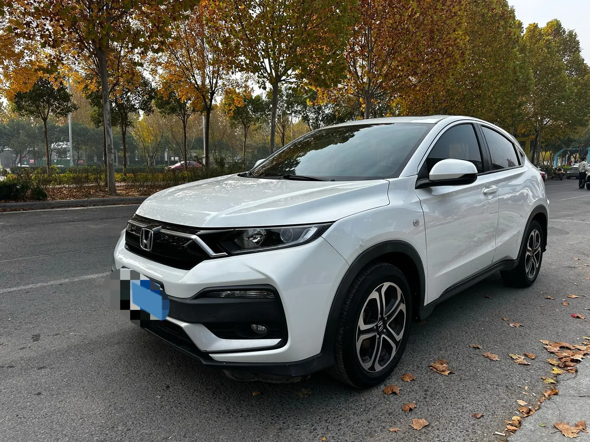 2020 HONDA XR-V view 1