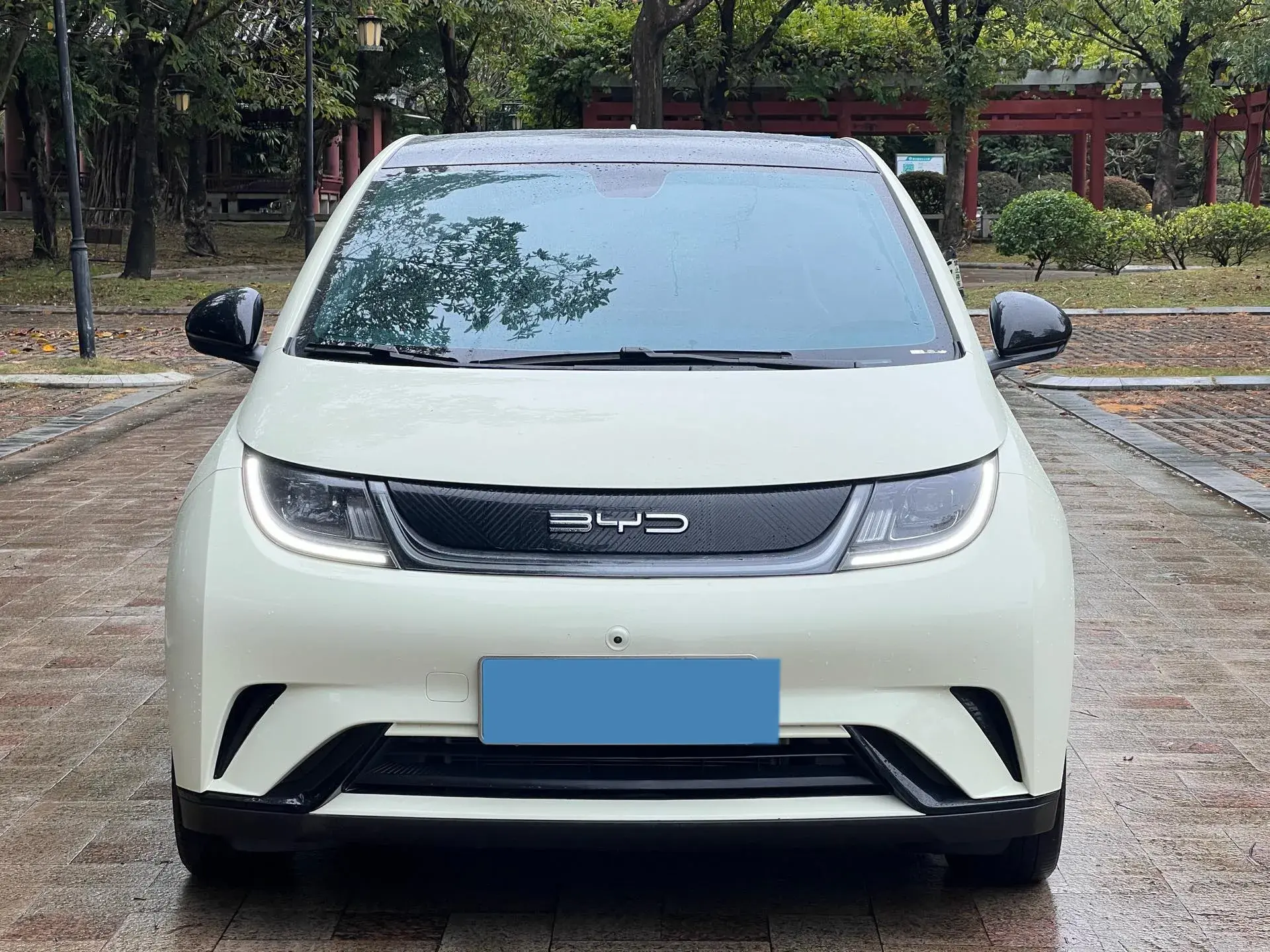 2021 BYD DOLPHIN thumbnail 2