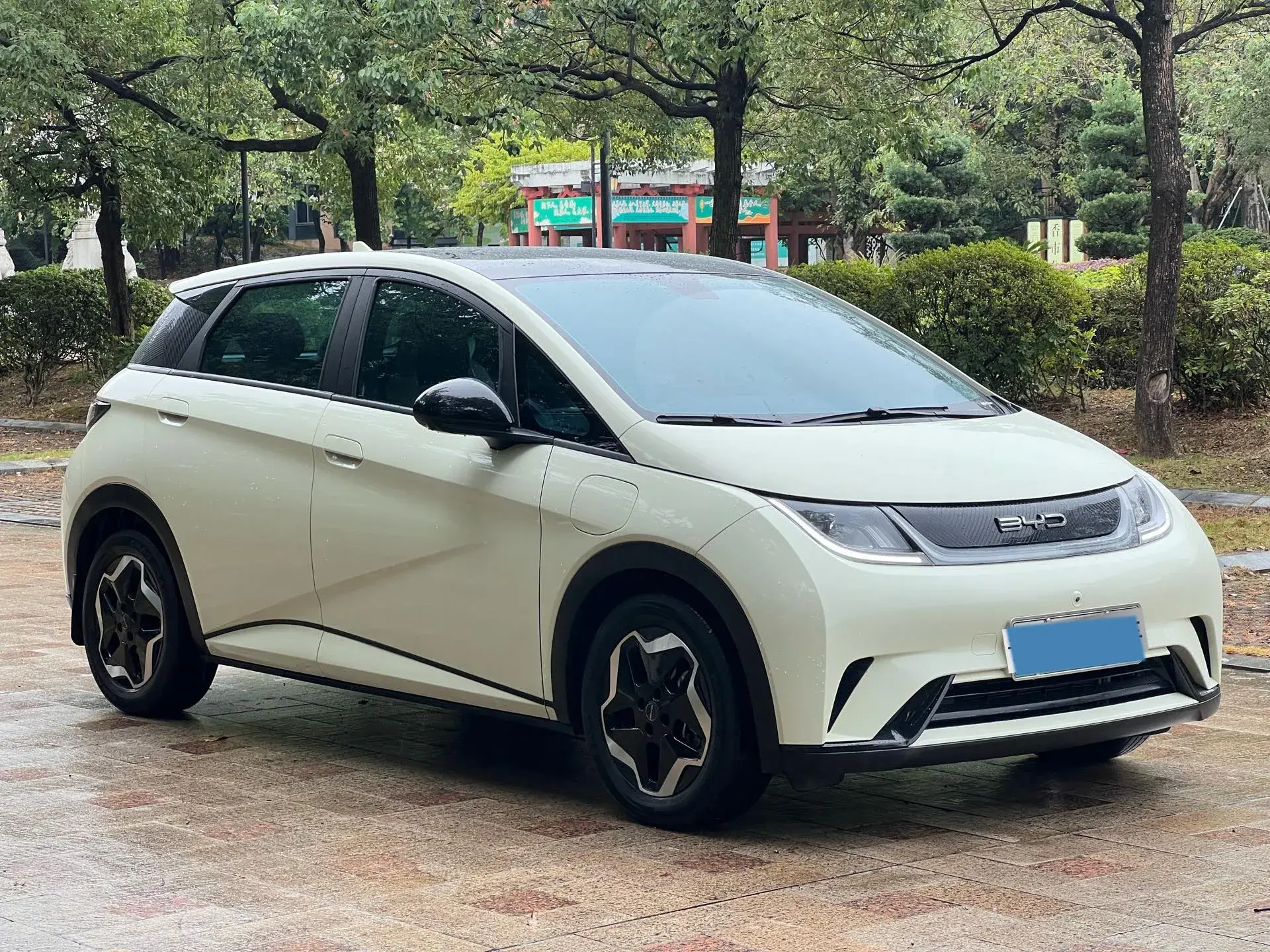 2021 BYD DOLPHIN thumbnail 3