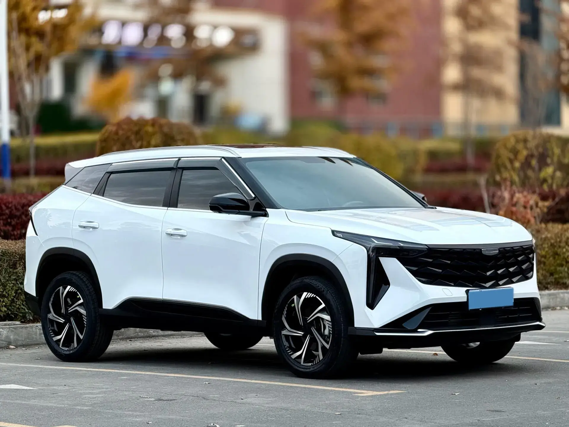 2024 GEELY STARRAY thumbnail 2