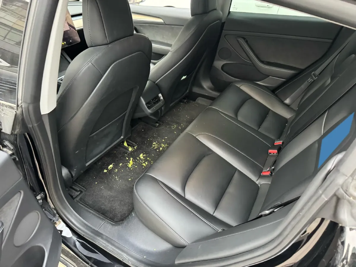 2021 Tesla Model 3 BEV 55KWH,autocango,china used car exporter,china ev exporter,chinese used car exporter,chinese used ev exporter