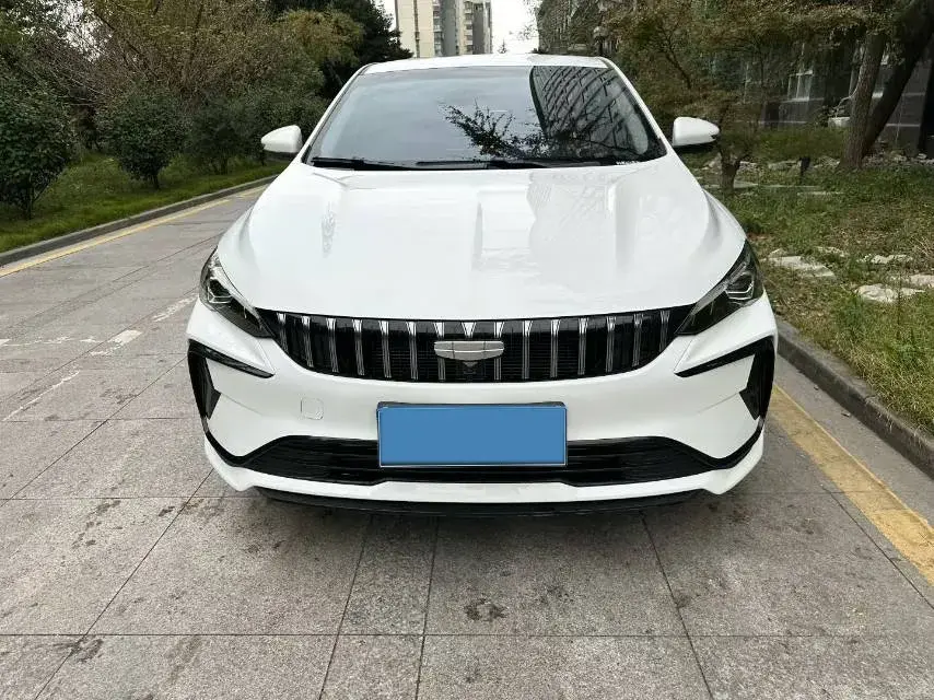 2024 GEELY BINRAY thumbnail 2