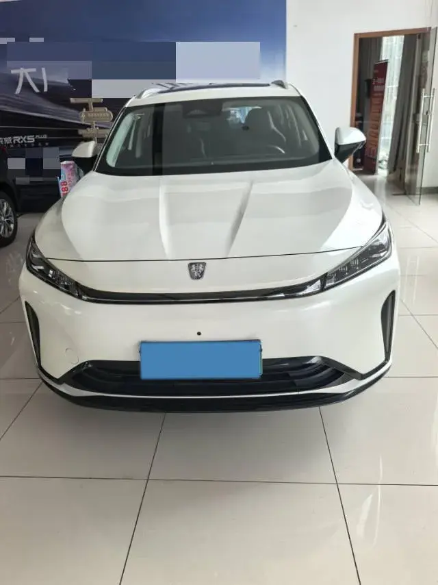 2024 ROEWE D5X thumbnail 2