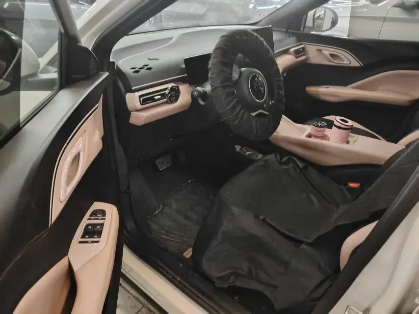 2025 BYD SEAGULL thumbnail 3