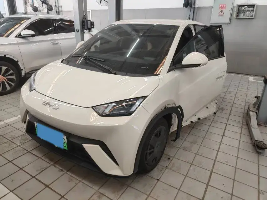 2025 BYD SEAGULL view 1