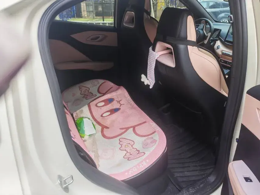 2025 BYD SEAGULL thumbnail 4