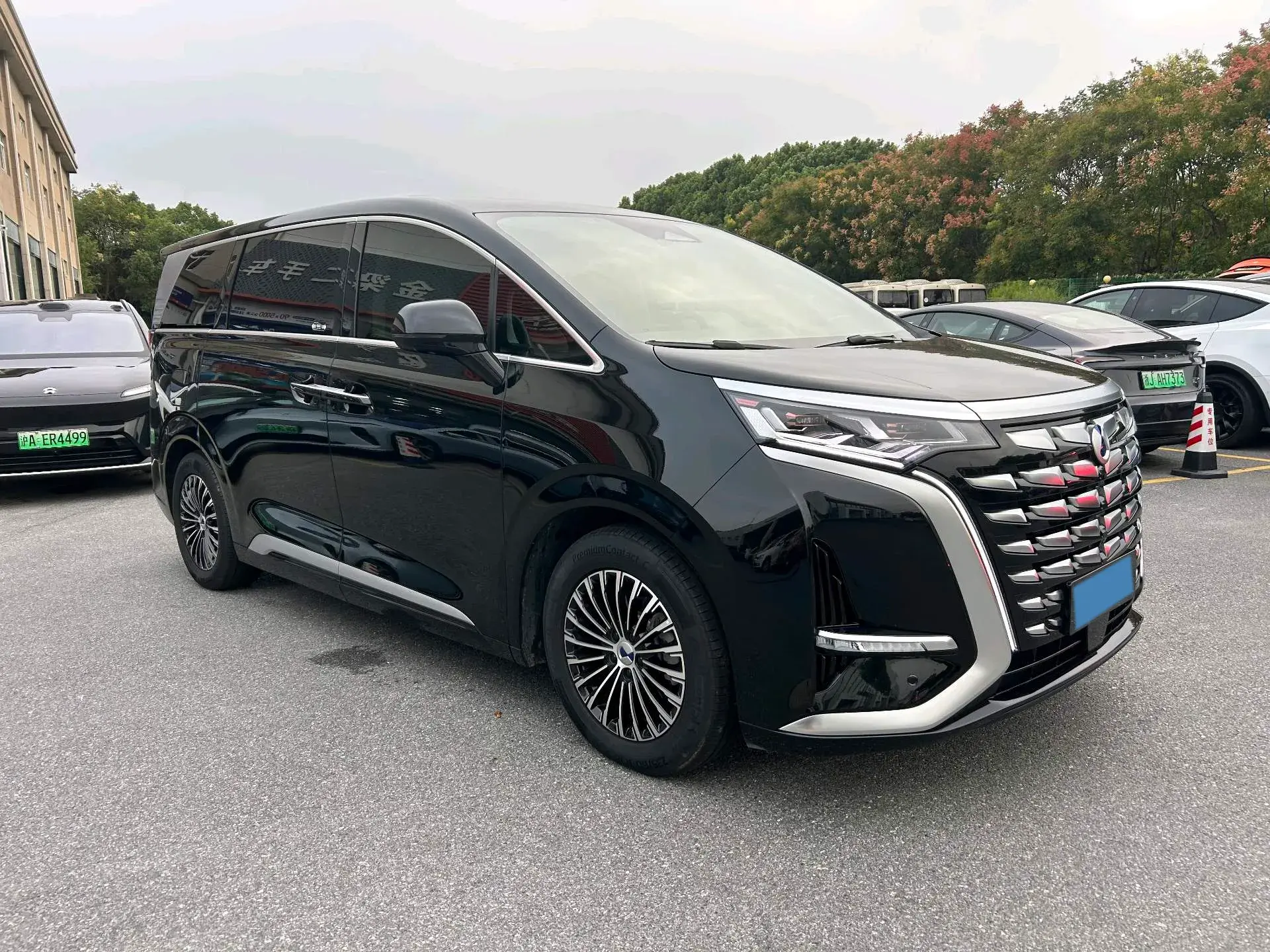 2024 DENZA D9 thumbnail 3