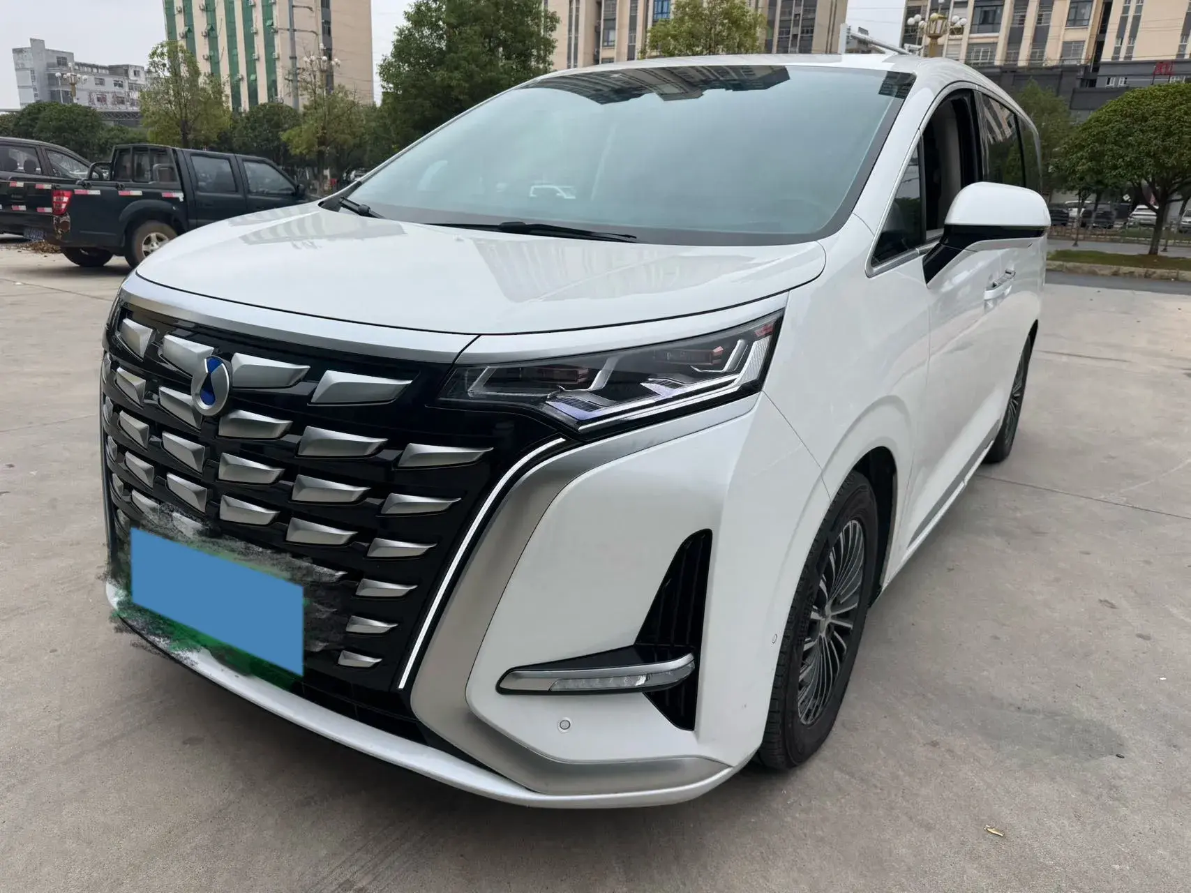 2022 DENZA D9 view 1