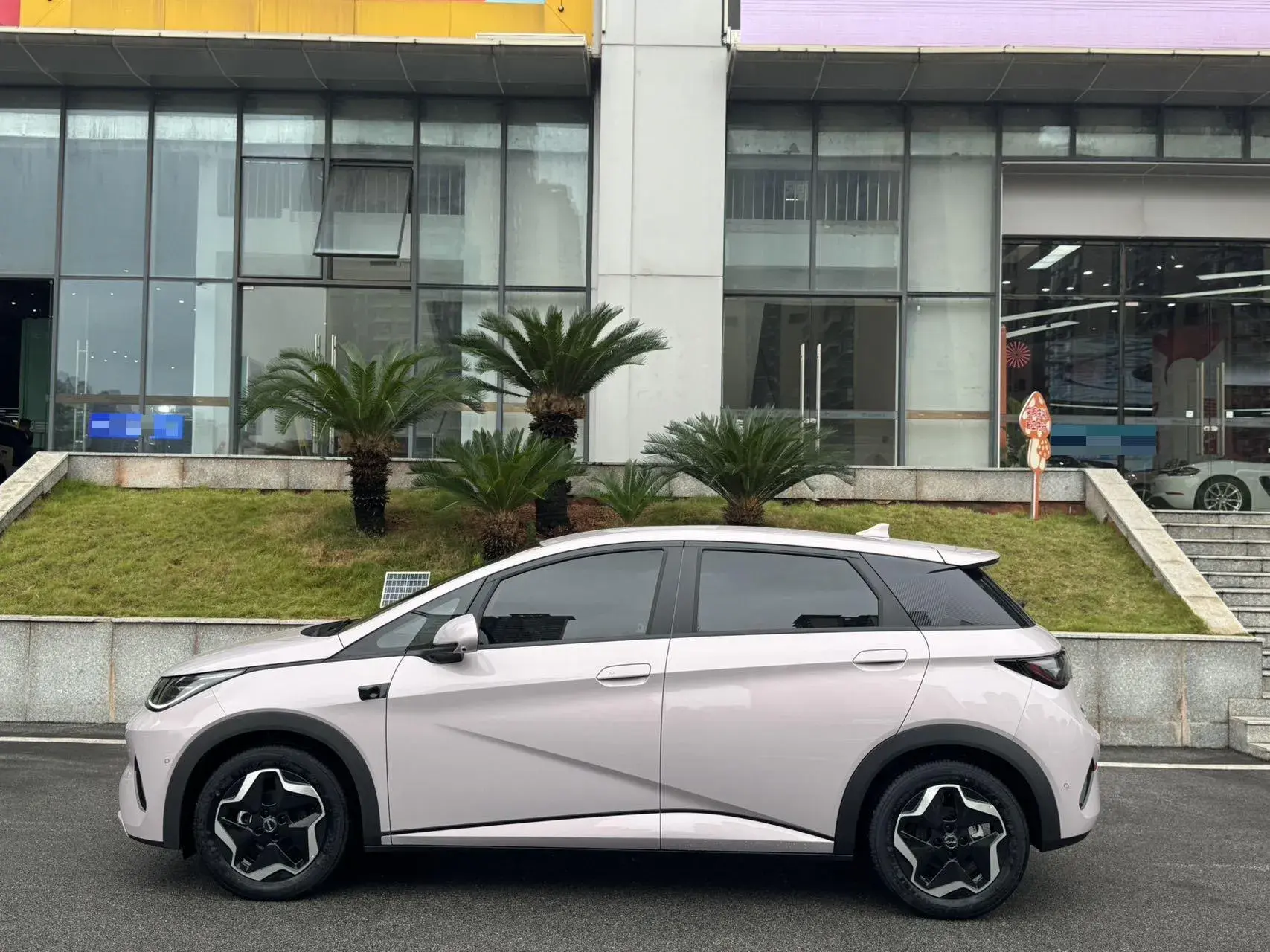 2025 BYD DOLPHIN thumbnail 3