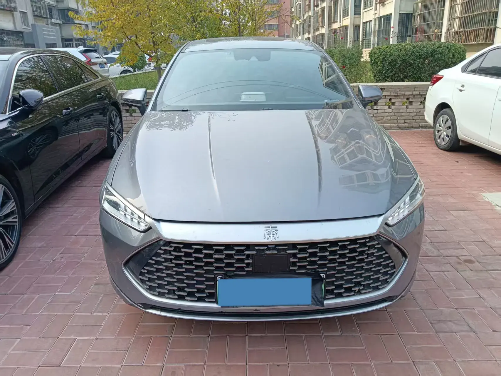 2023 BYD QIN thumbnail 2