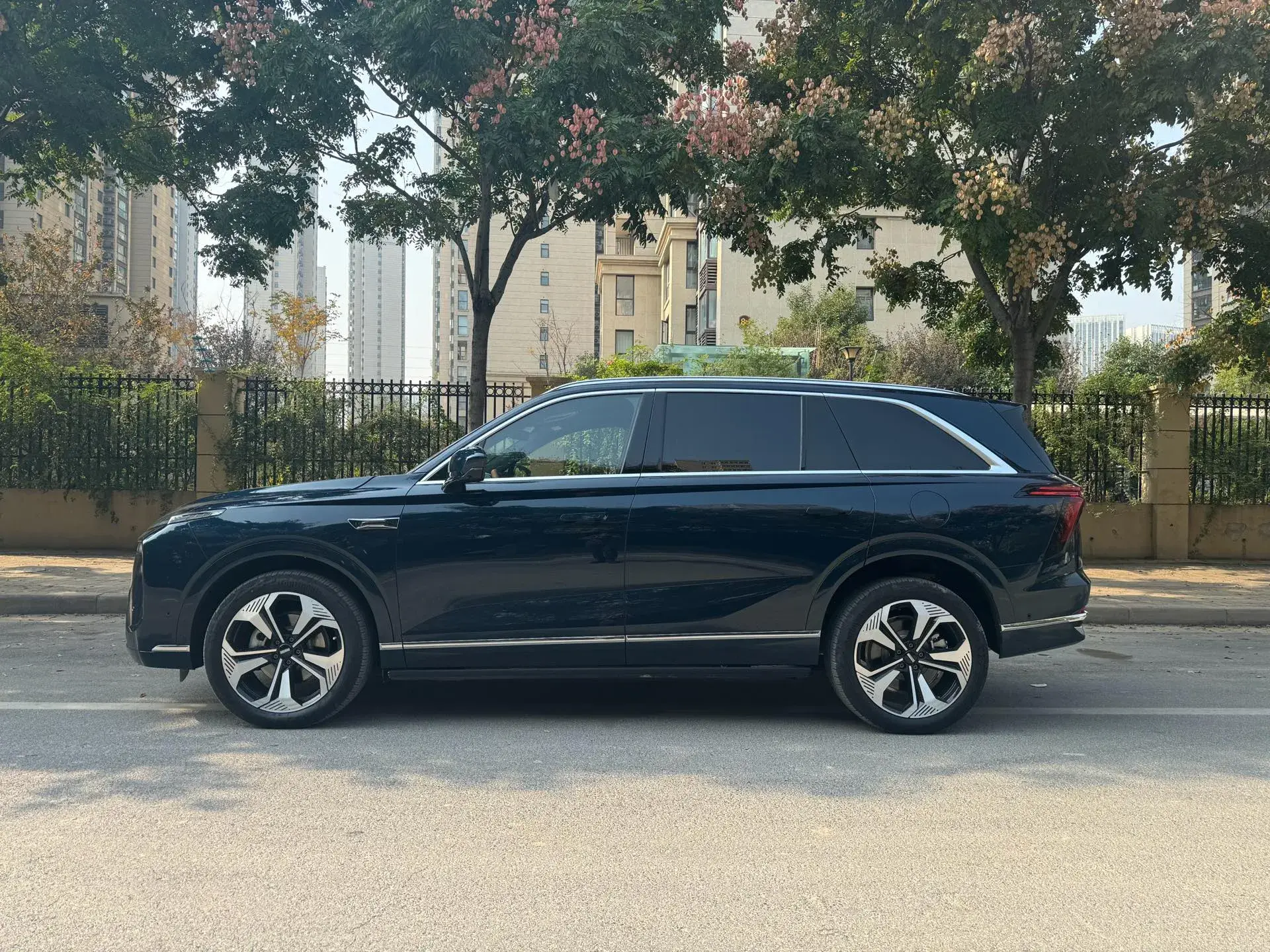 2025 WEY BLUEMOUNTAIN thumbnail 4