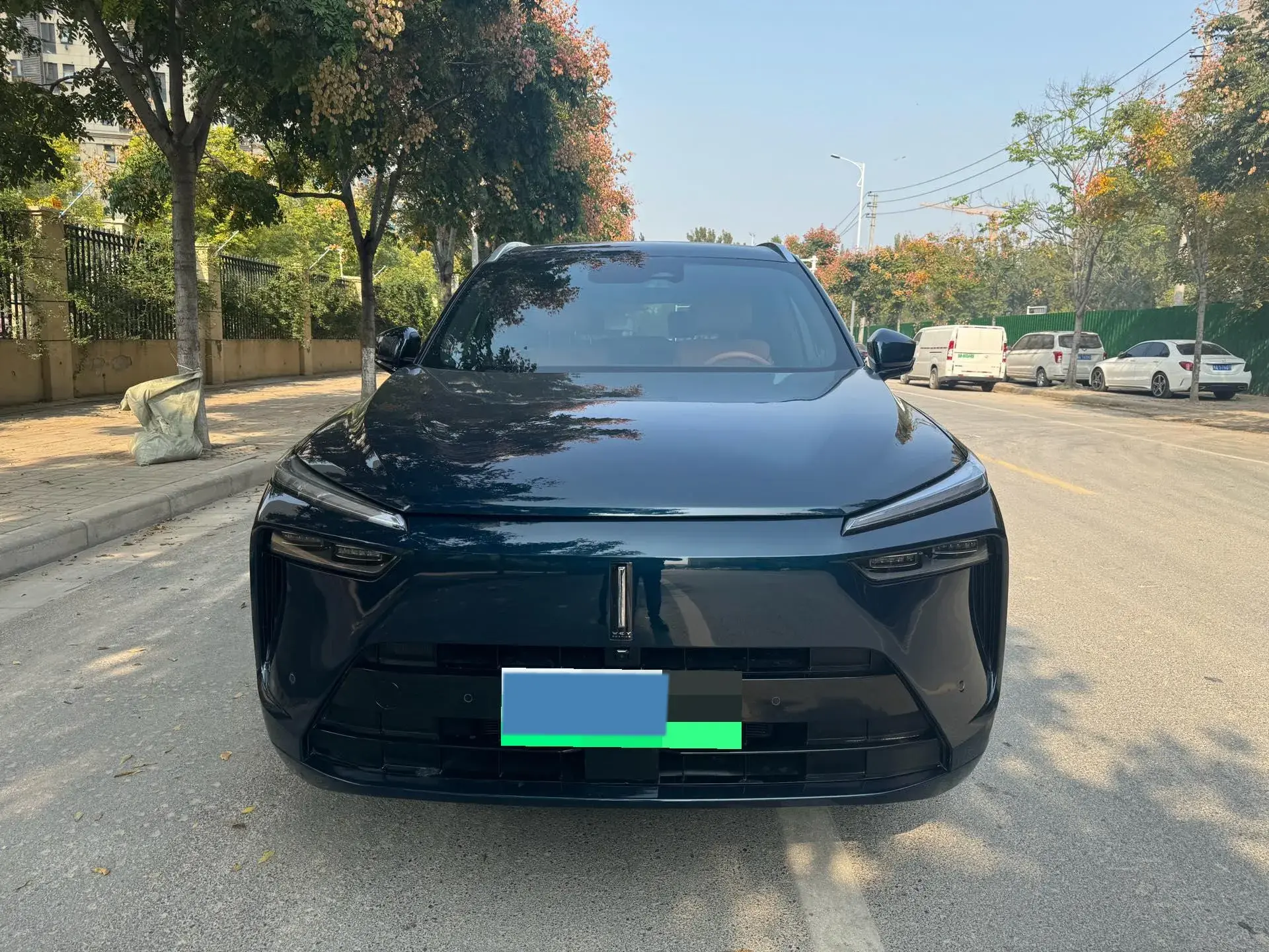 2025 WEY BLUEMOUNTAIN thumbnail 2