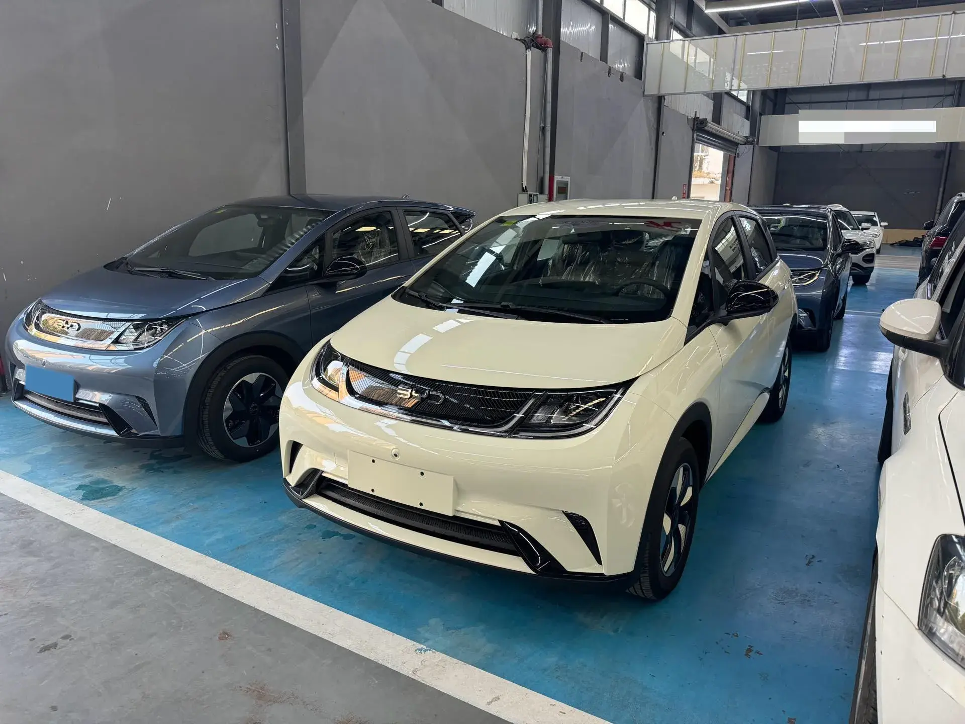 2025 BYD DOLPHIN view 1