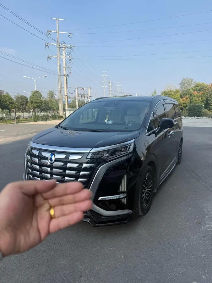 2022 Denza D9 1.5T 139HP L4 E-CVT PHEV 40.06KWH