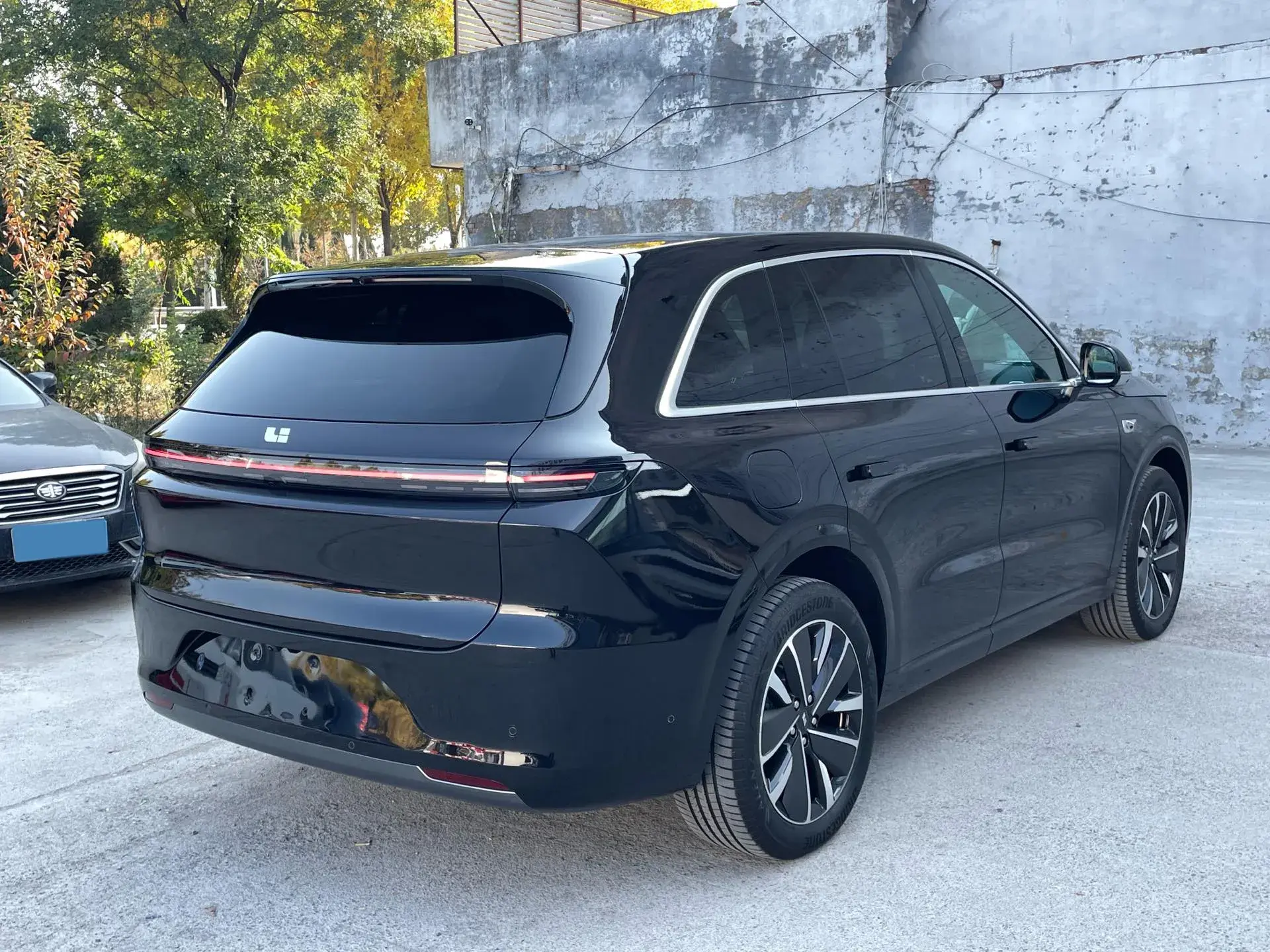 2025 LI L6 thumbnail 3