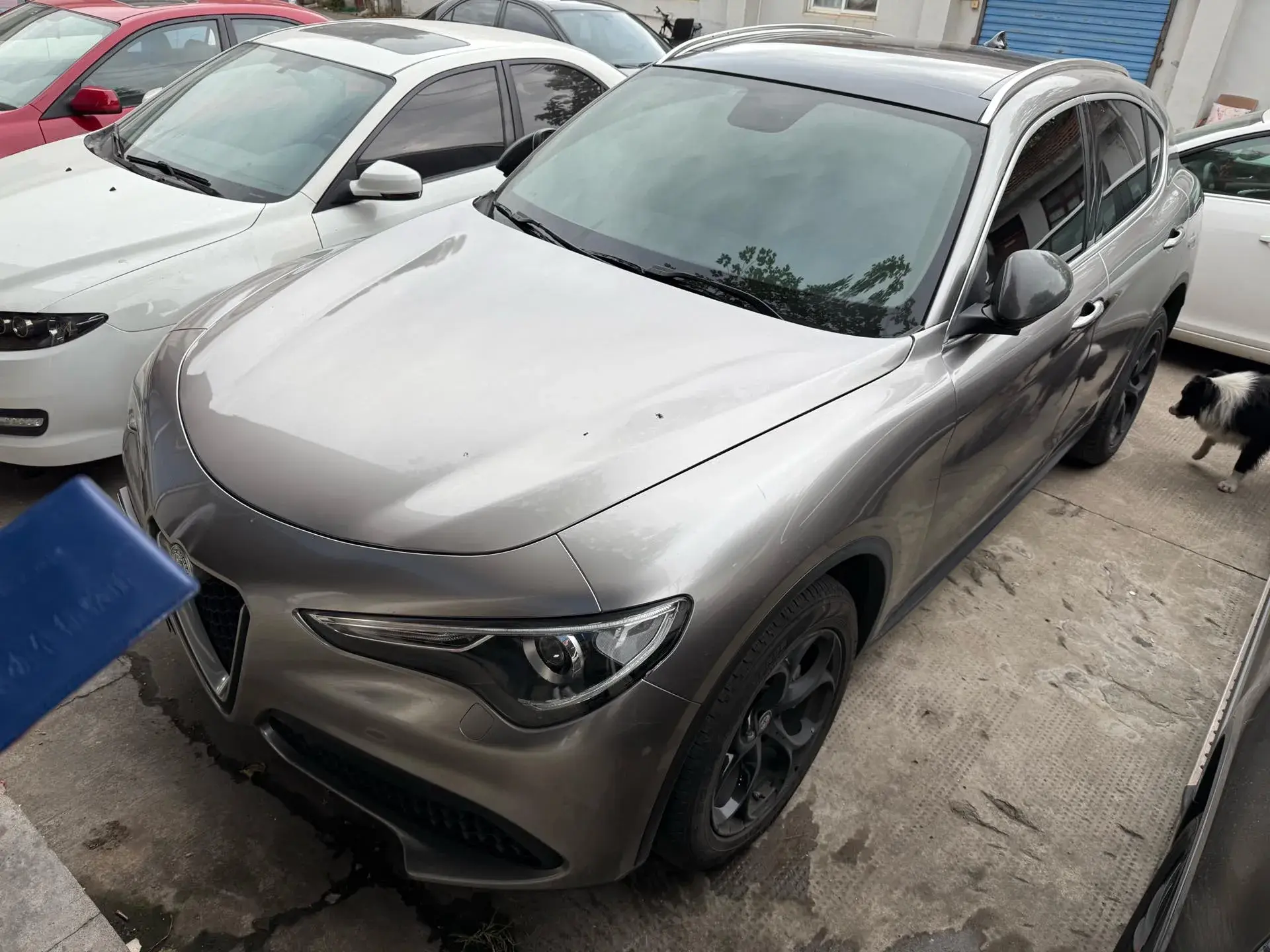 2017 ALFA ROMEO view 1