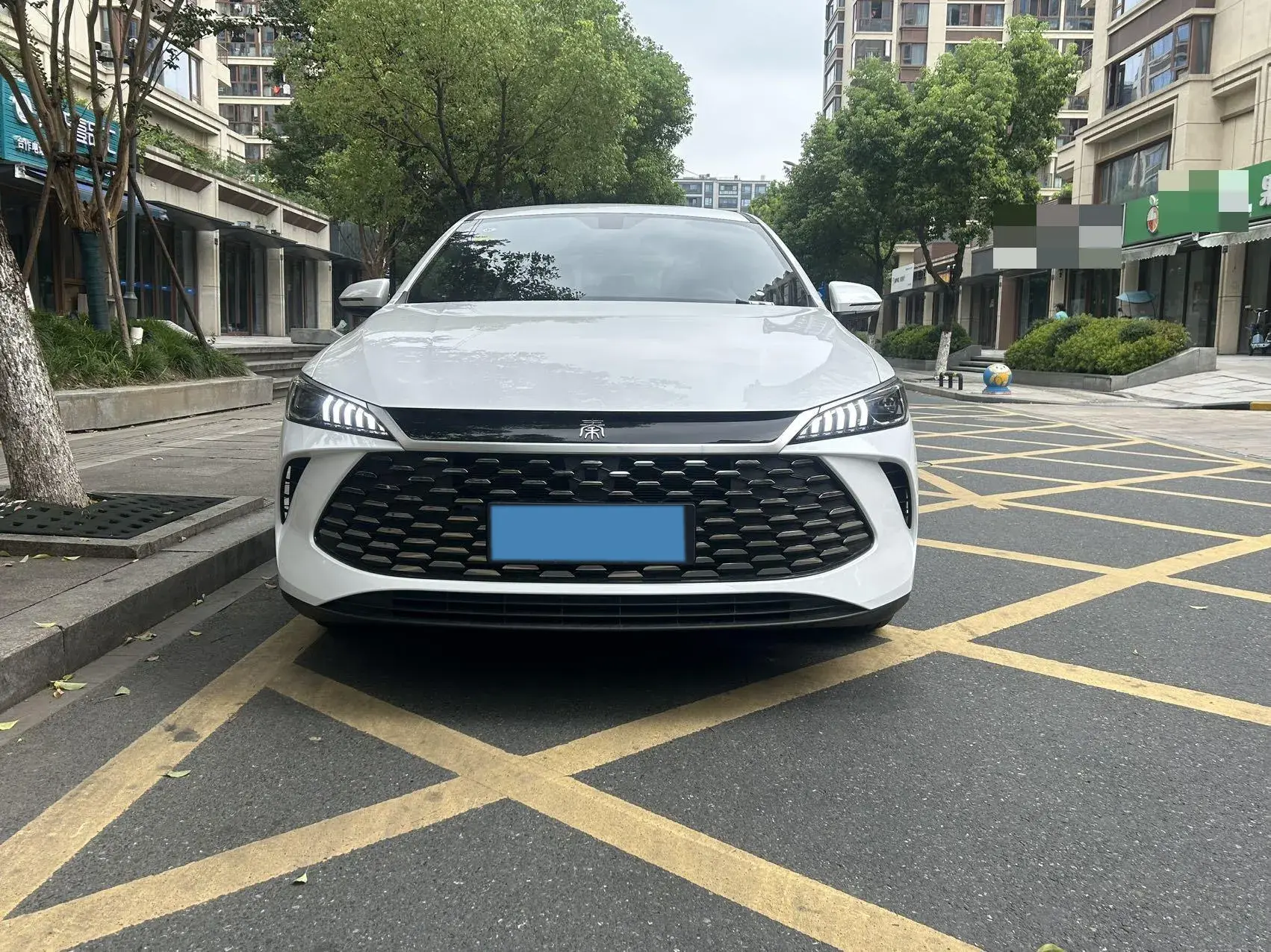 2025 BYD QIN thumbnail 2