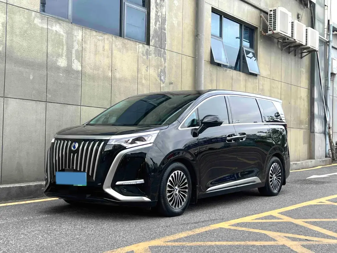 2024 DENZA D9 view 1