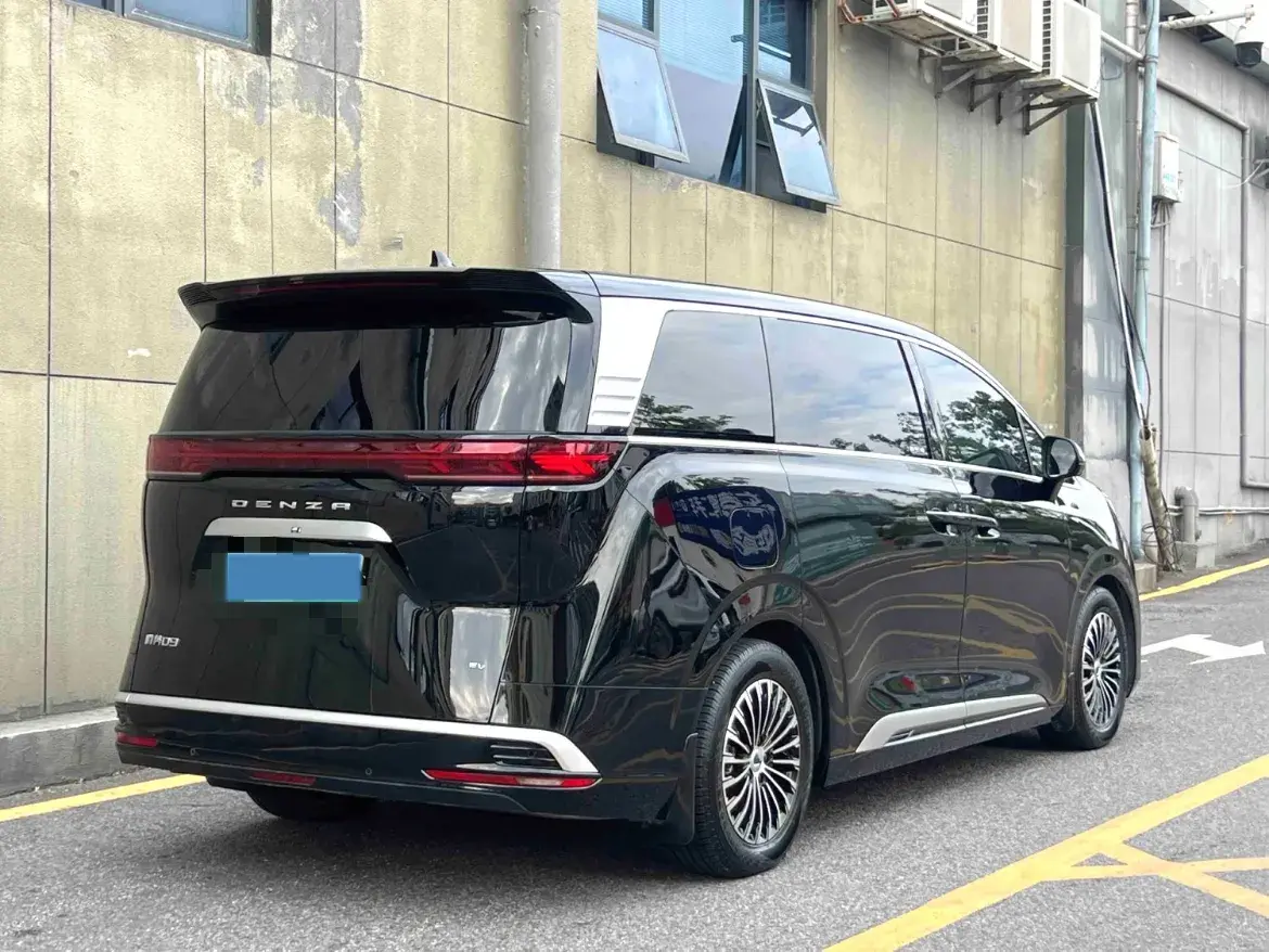 2024 DENZA D9 thumbnail 4