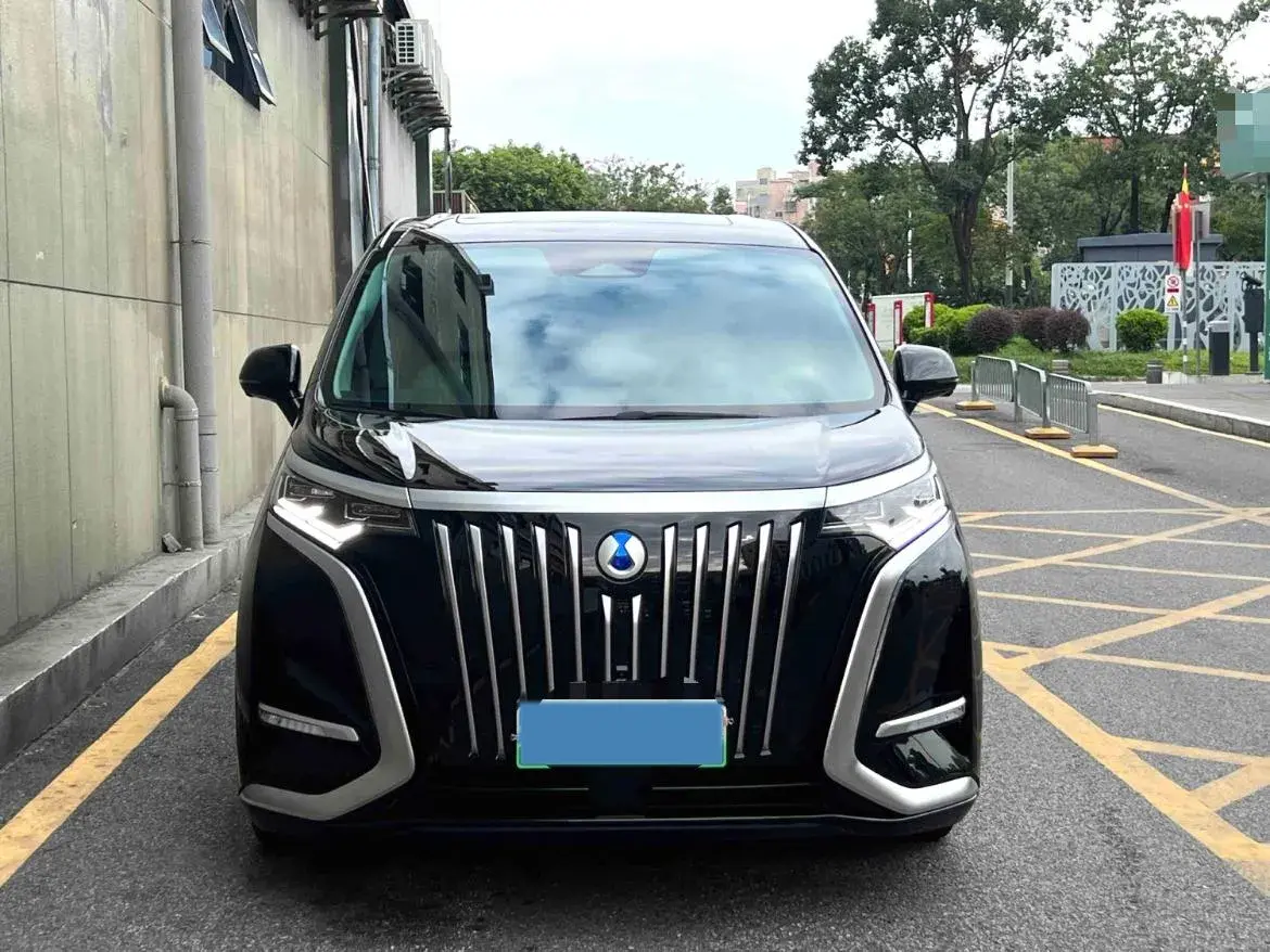 2024 DENZA D9 thumbnail 2