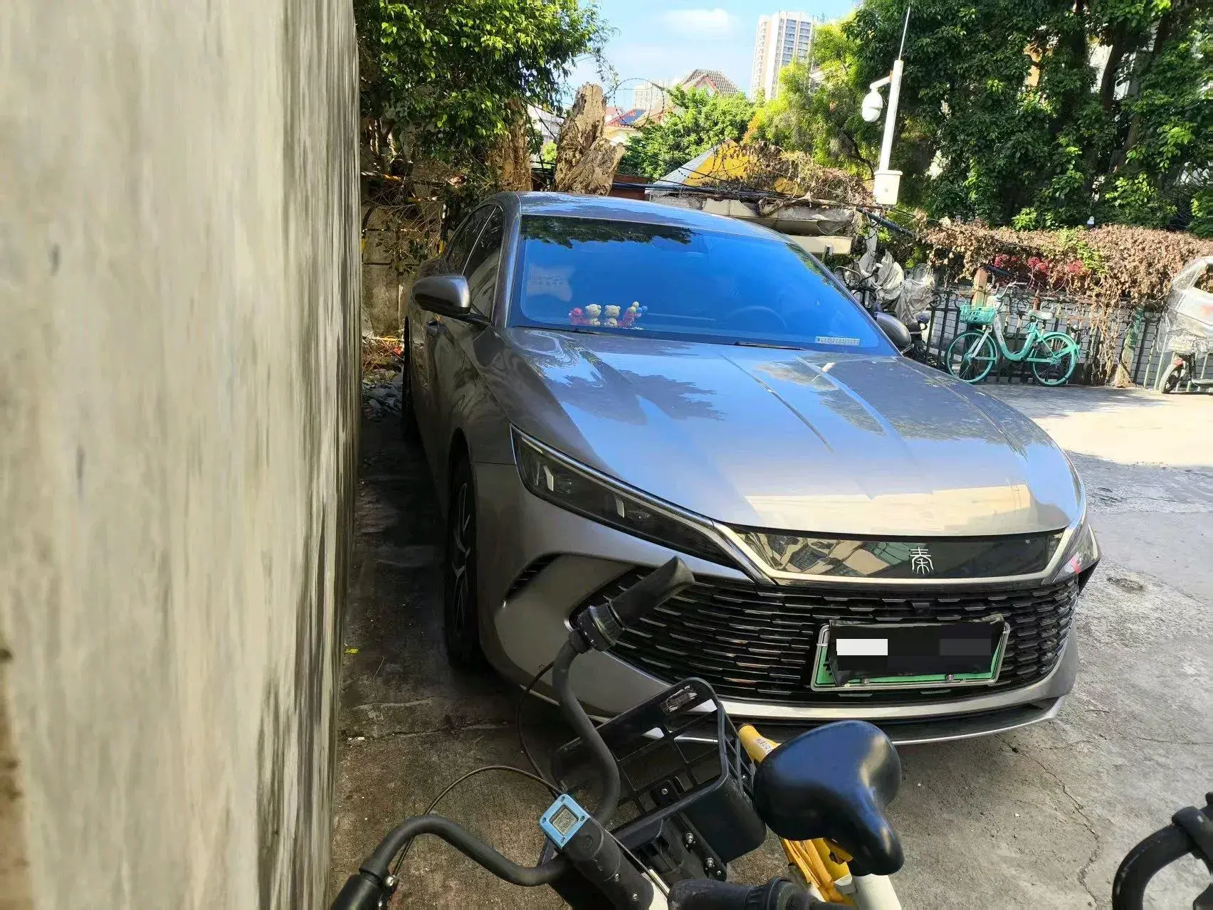 2024 BYD QINL thumbnail 2