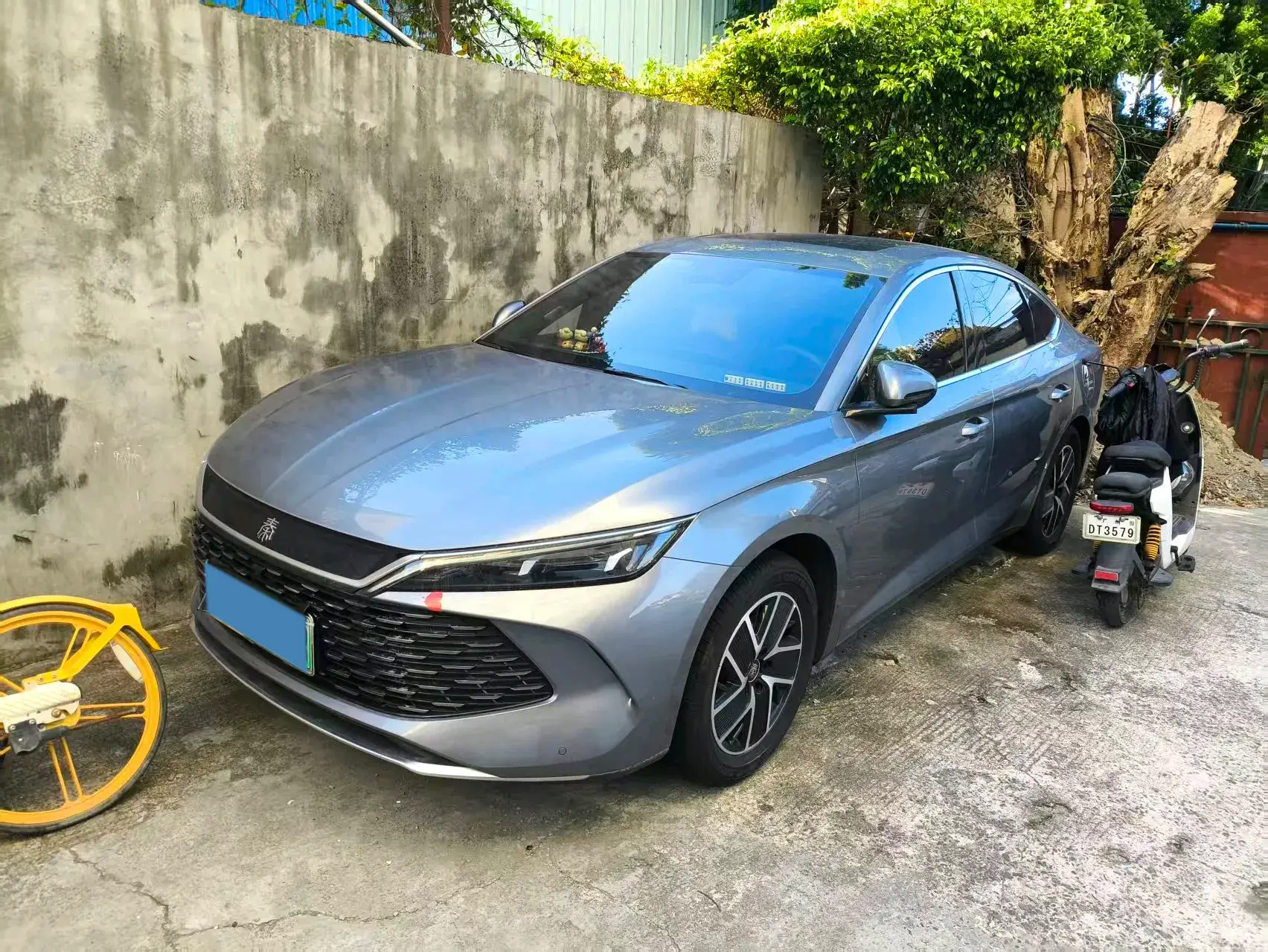 2024 BYD QINL view 1