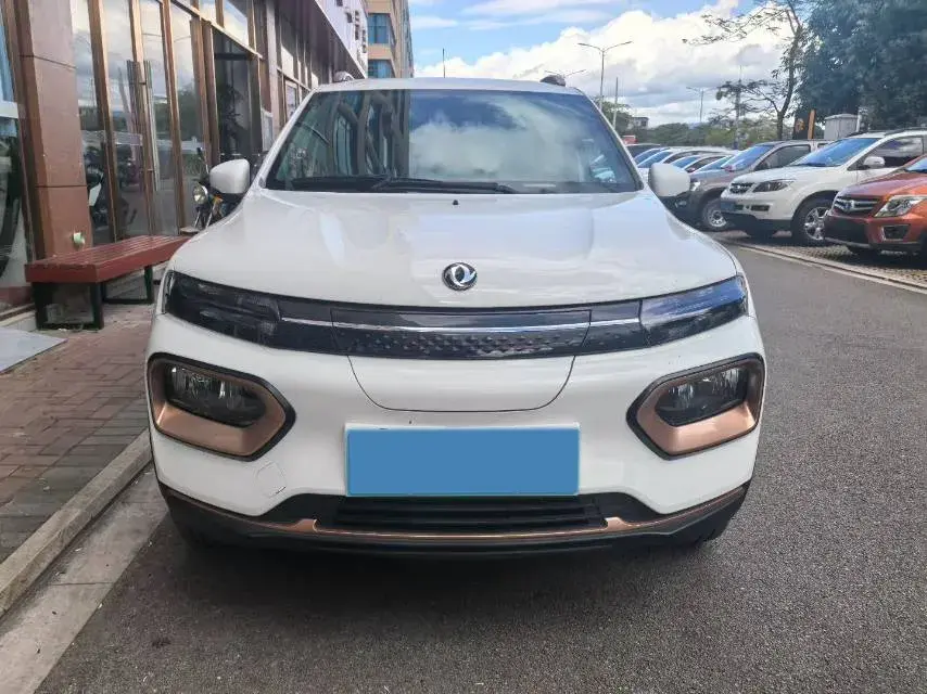 2022 DONGFENG NAMMI thumbnail 2