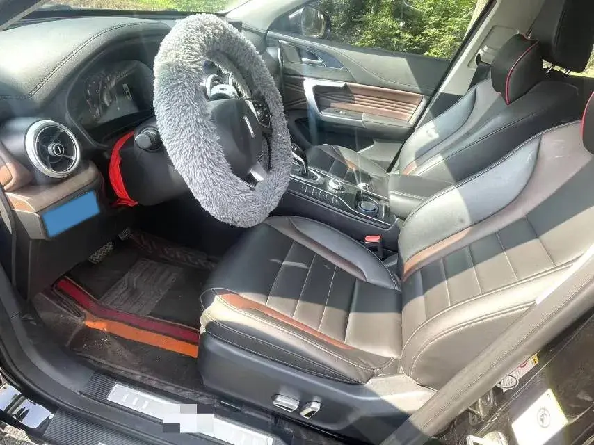 2020 WEY VV5 thumbnail 4